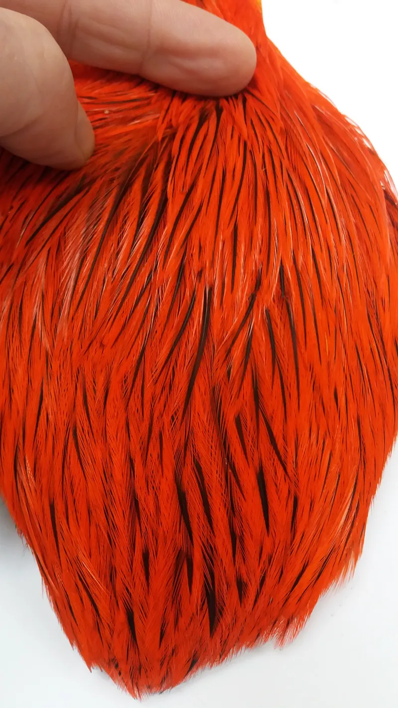 The Lakeland Brahma Rooster Cape in Silver Badger Dyed Orange  from Whiting Farms-4